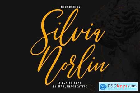 Silvia Norlin Beauty Signature Script Font