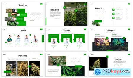 Sativa - Cannabist Powerpoint Template X4T82GS