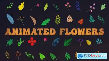 Animated Flowers -- After Effects 33714560