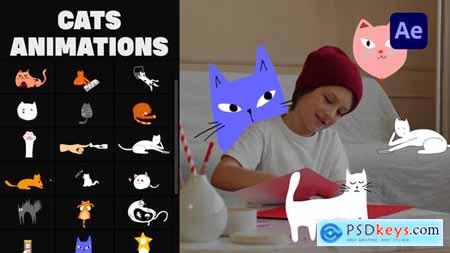 Cartoon Cats Animations - After Effects 33731964