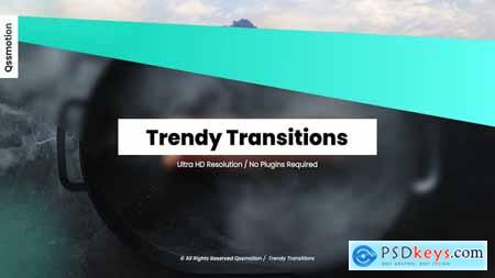 Trendy Transitions 33742428