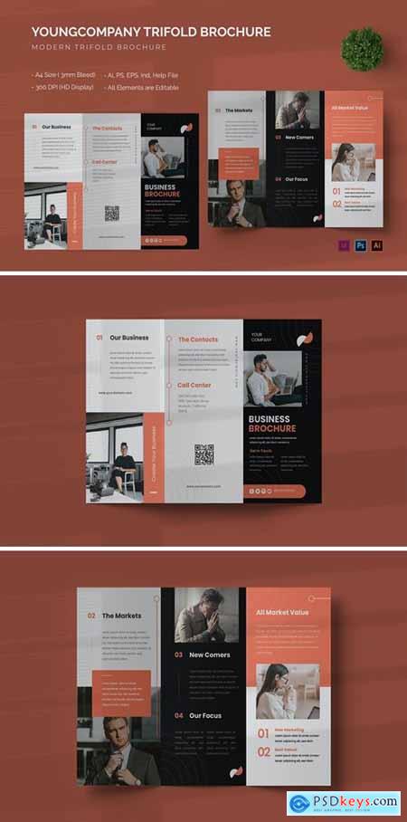 Youngcompany - Trifold Brochure