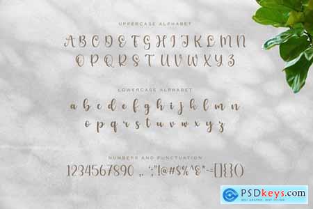 Benedicta- A Modern Calligraphy Font
