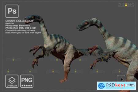 Dinosaur Backdrop- Photoshop Overlay