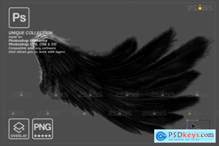 Black Angel Wings Overlay