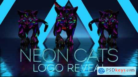 Neon Cats Logo Reveal 26778906