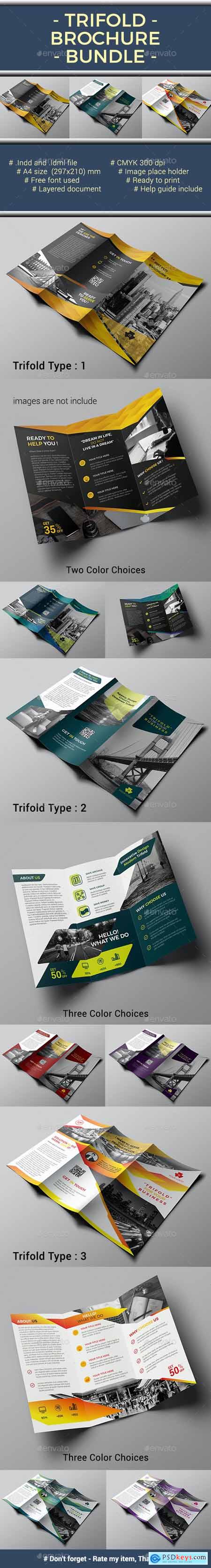 Trifold Bundle 20526544