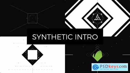 Synthetic Intro 19468264