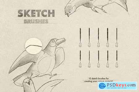 Sketch & Pencil Procreate Brushes 6505262