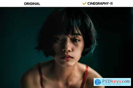 Cinegraphy Presets & Actions 6240899