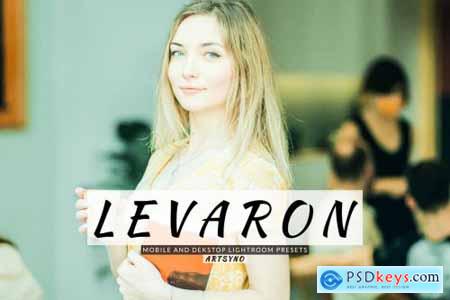 Levaron Lightroom Presets Dekstop and Mobile