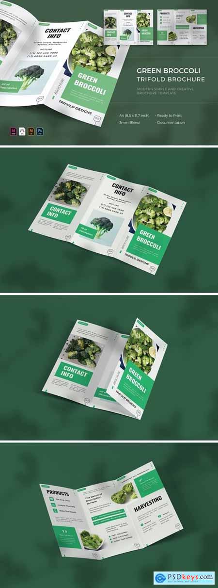 Green Broccoli - Trifold Brochure