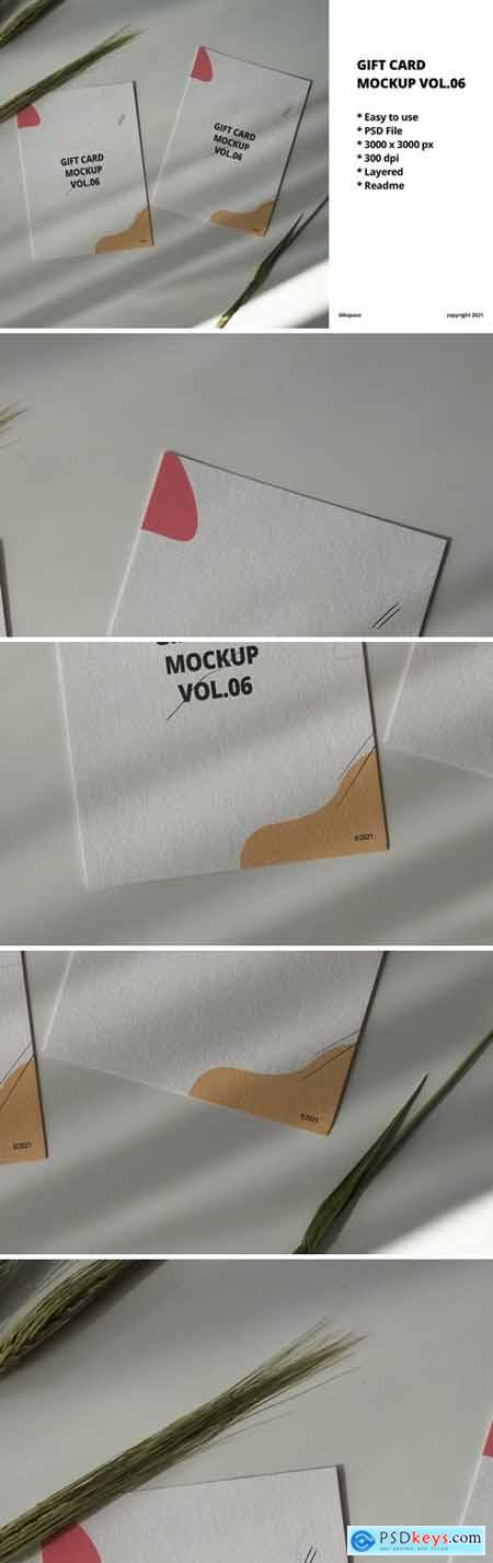 Gift Card Mockup Vol.06