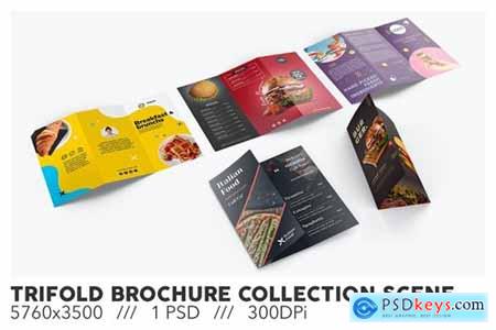 Trifold Brochure Collection Scene