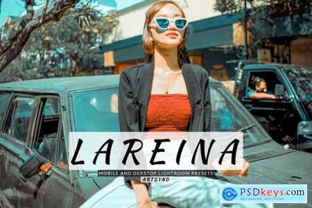 Lareina Lightroom Presets Dekstop and Mobile