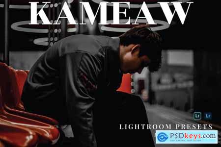Kameaw Mobile and Desktop Lightroom Presets