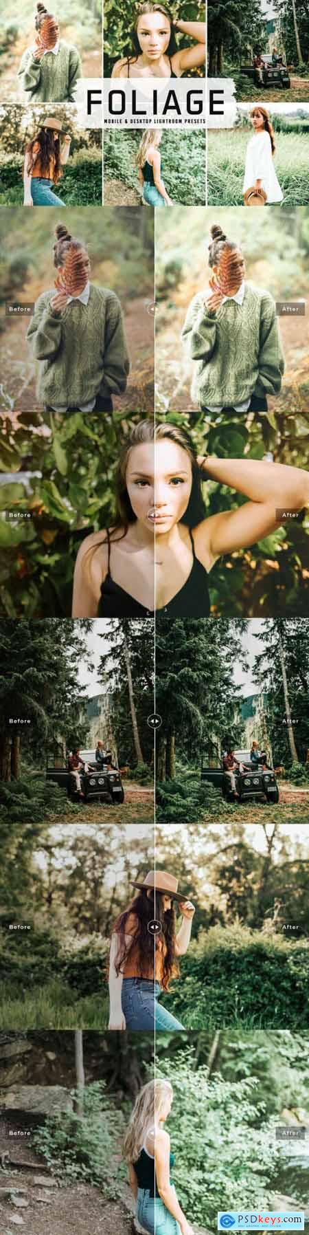 Foliage Pro Lightroom Presets 6481486