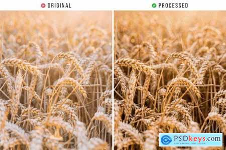 Smooth Nature Effect Tones Action & Lightroom Presets