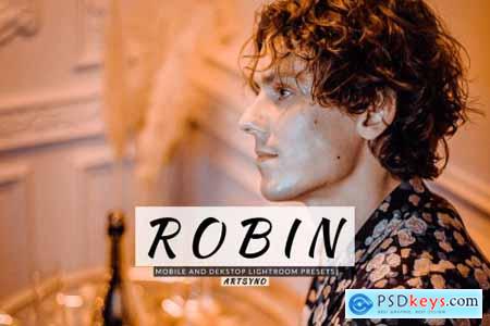 Robin Lightroom Presets Dekstop and Mobile