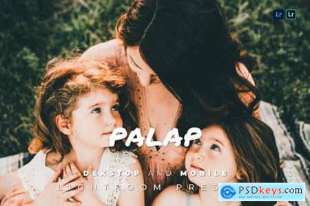 Palap Desktop and Mobile Lightroom Preset