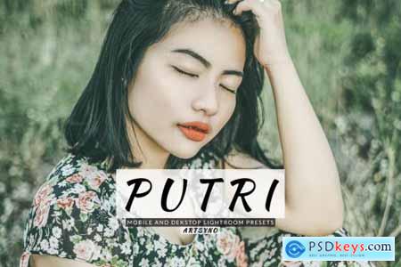 Putri Lightroom Presets Dekstop and Mobile