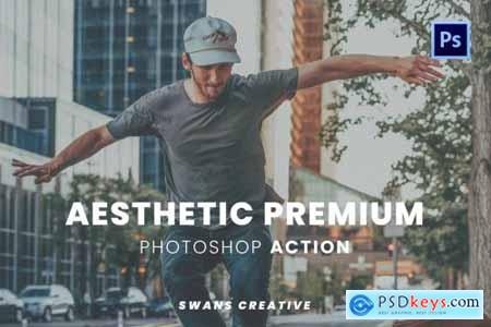 Aesthetic Premium Photoshop Action