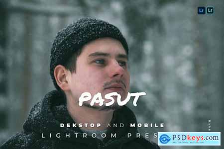 Pasut Desktop and Mobile Lightroom Preset