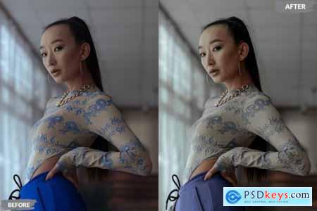 Ryanti Lightroom Presets Dekstop and Mobile