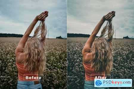 Palap Desktop and Mobile Lightroom Preset