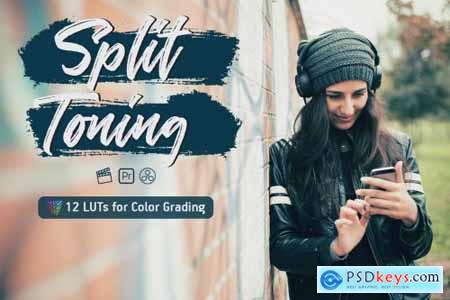 Split Toning Video LUTs 6464979