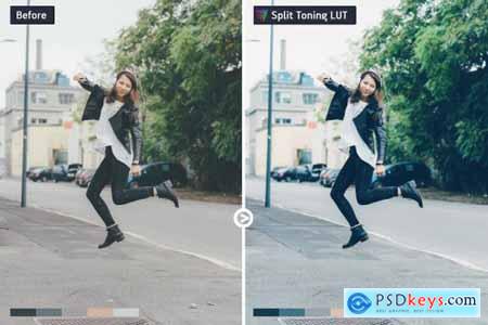 Split Toning Video LUTs 6464979