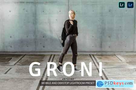 Groni Lightroom Presets Dekstop and Mobile