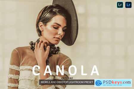 Canola Lightroom Presets Dekstop and Mobile