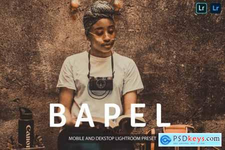 Bapel Lightroom Presets Dekstop and Mobile