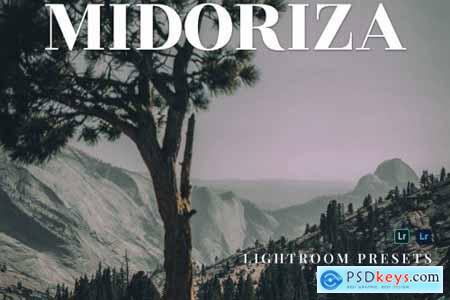 Midoriza Mobile and Desktop Lightroom Presets