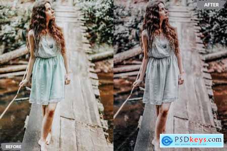 Ayerbe Lightroom Presets Dekstop and Mobile