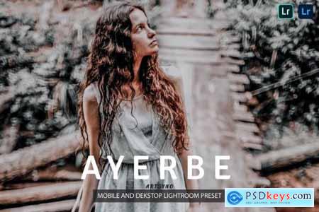 Ayerbe Lightroom Presets Dekstop and Mobile