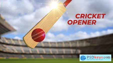 Cricket Opener 34356196