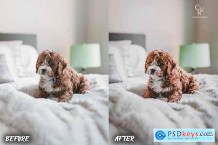 8 Dogs Lightroom Presets 6278930