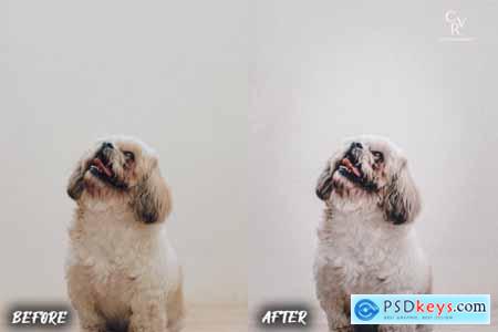 8 Dogs Lightroom Presets 6278930