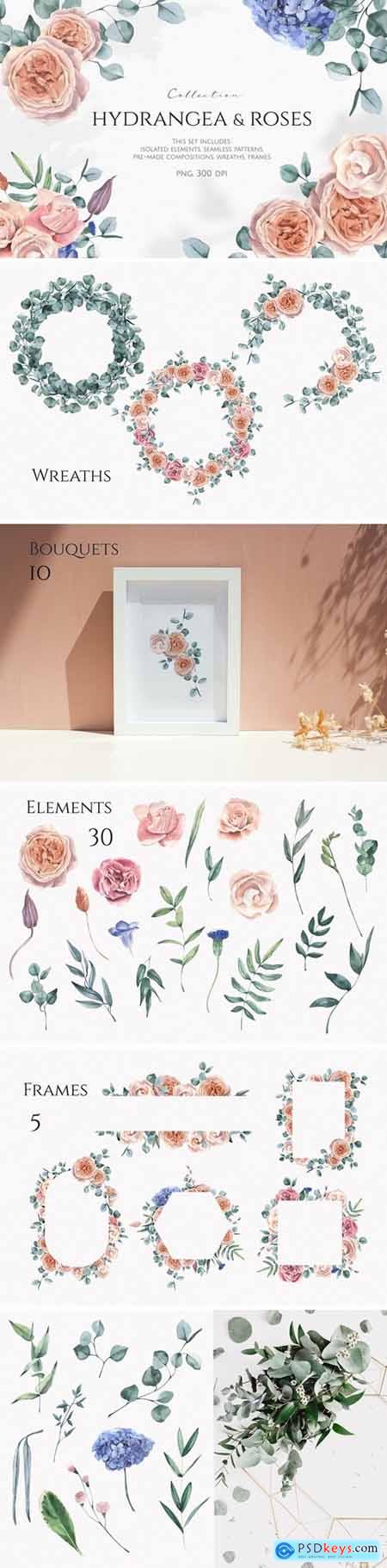Hydrangea & Roses Watercolor Set