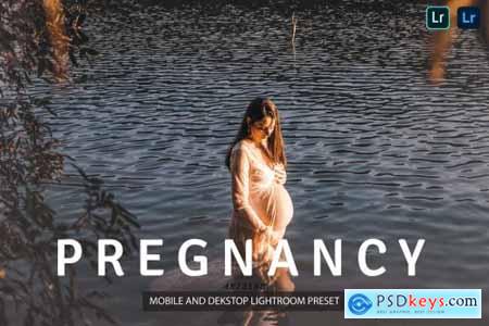 Pregnancy Lightroom Presets Dekstop and Mobile