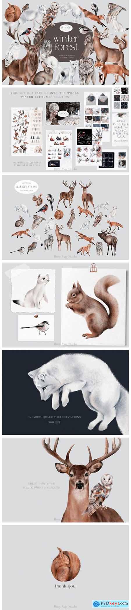 Winter Forest Animals and Birds PNG 18762380