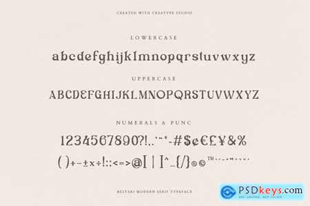 Bestari Serif Business Font Font