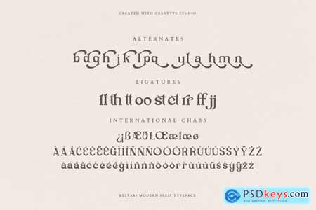 Bestari Serif Business Font Font