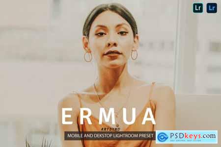 Ermua Lightroom Presets Dekstop and Mobile