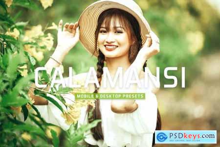 Calamansi Mobile & Desktop Lightroom Presets