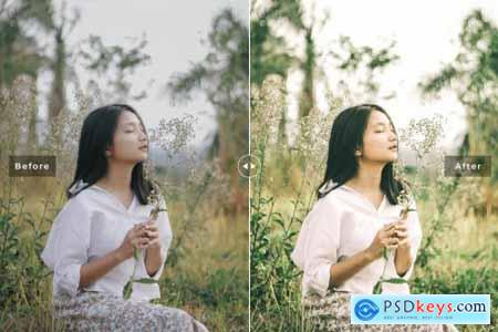 Calamansi Mobile & Desktop Lightroom Presets