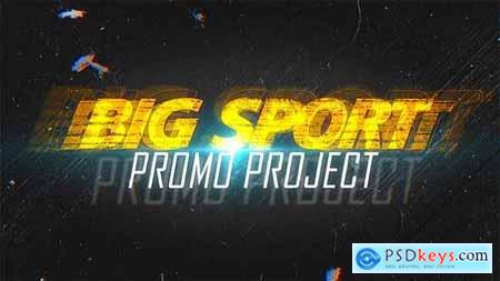 Big Sport 21042957