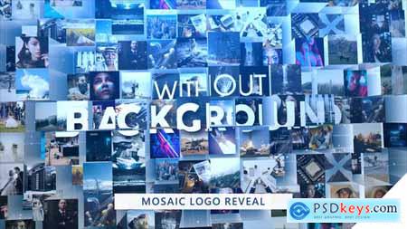 Mosaic Logo Reveal 24704296
